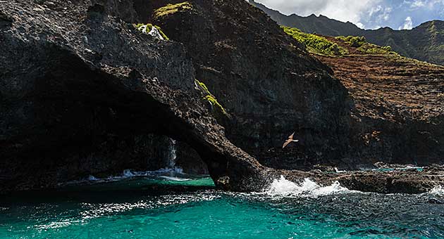 Zodiac boat Na Pali Coast passing land bridge with iwa flying.