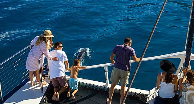 Guests watching Hawaiian spinner dolphins off the bow of the catamaran on Na Pali Coast.